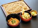 レストラン新メニュー 鴨せいろそば・うどん膳発売